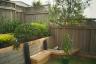Our backyard oasis complete with olive tree