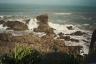 The majesty of the West Coast, seal colony in foreground 